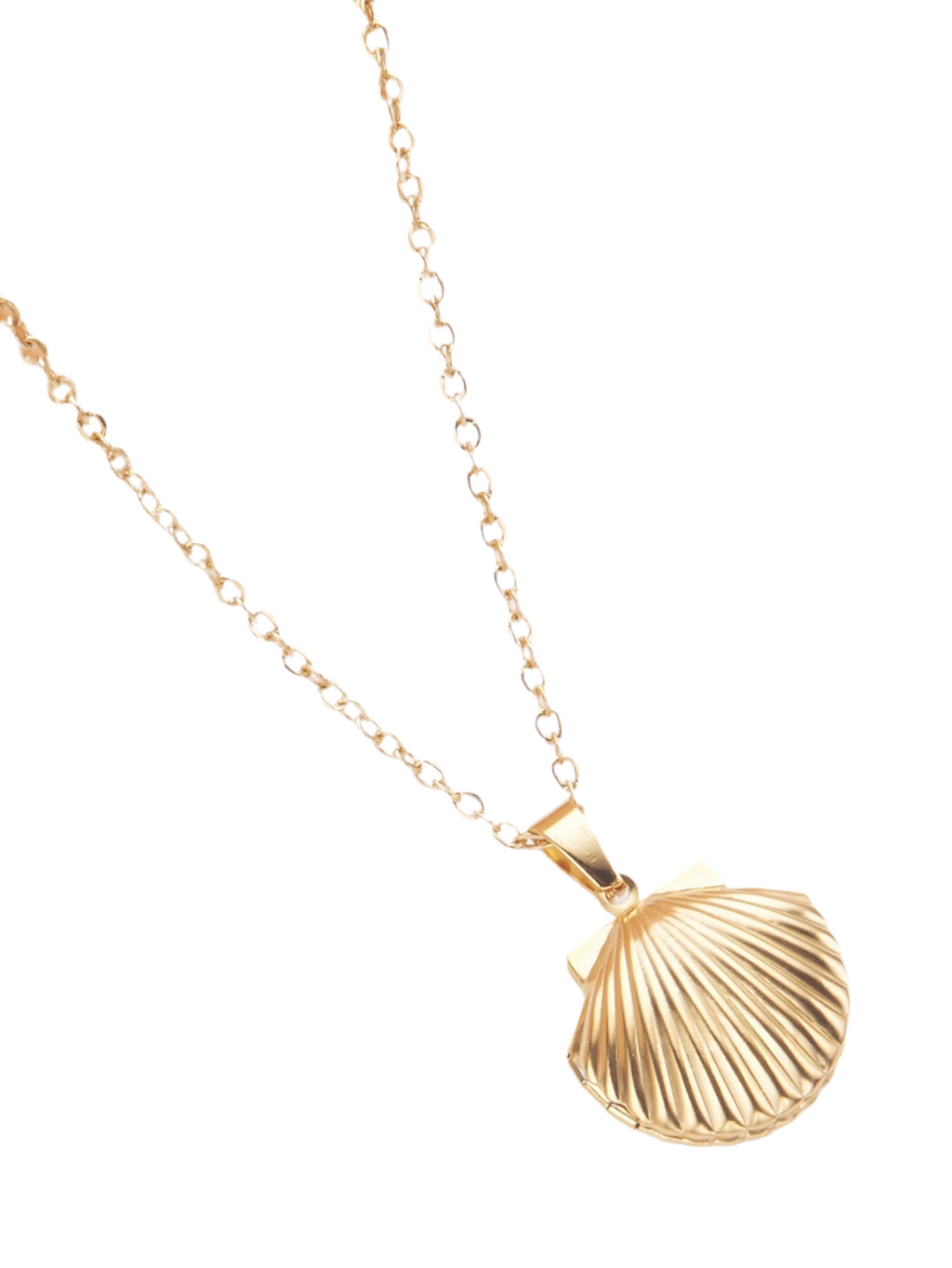 Shell Locket  Necklace