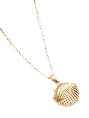 Shell Locket  Necklace