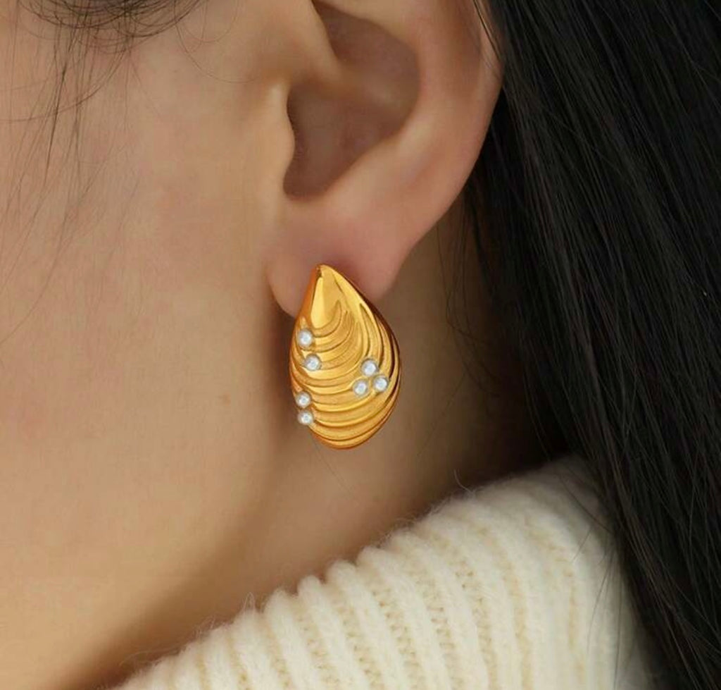 Shell  Earrings